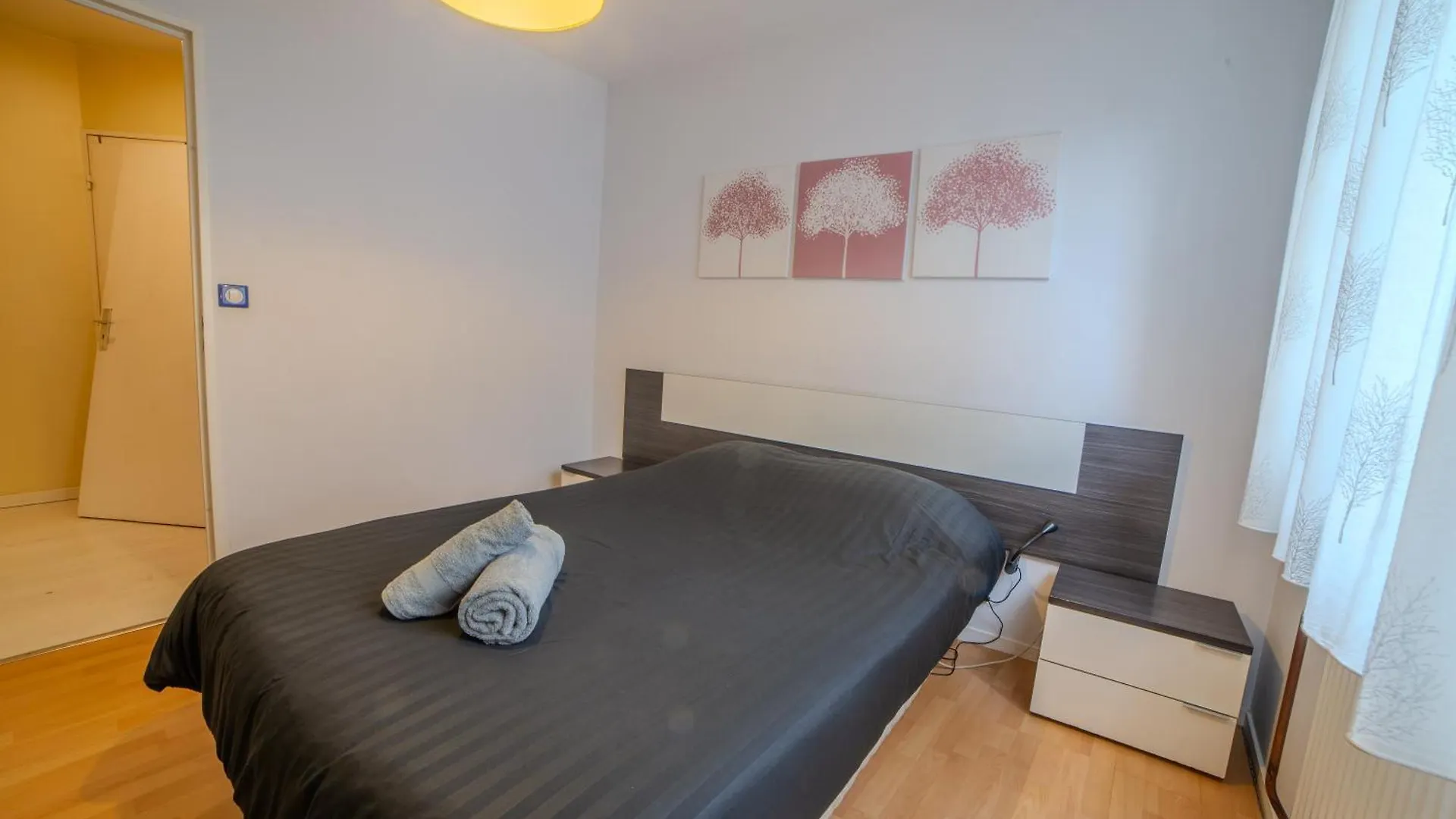 Superbe Duplex Cosy Parking Hypercentre Apartment Villeurbanne