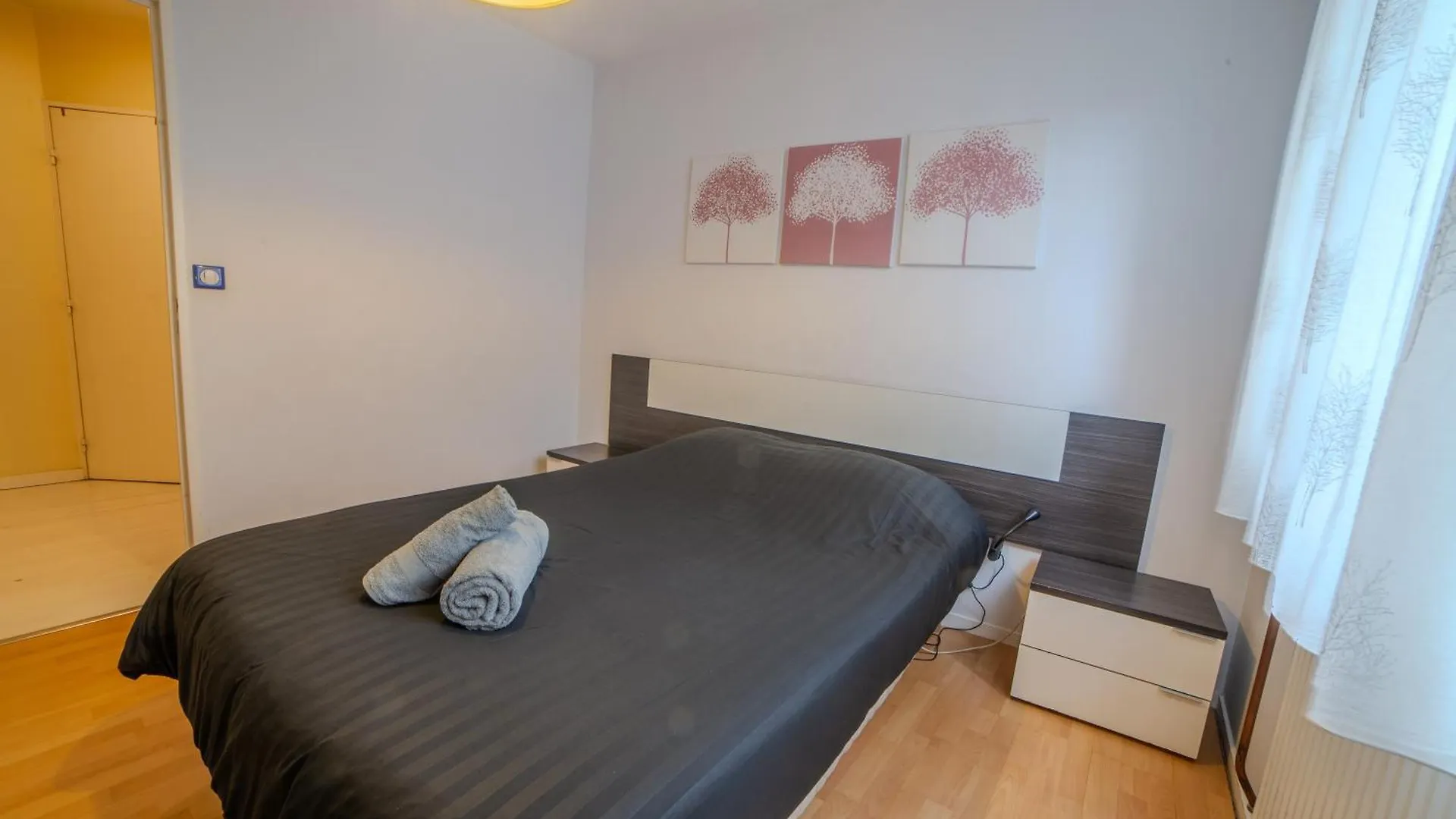 Superbe Duplex Cosy Parking Hypercentre Apartment Villeurbanne 0*,